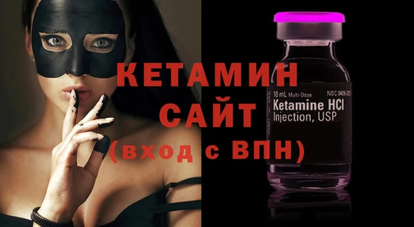сатива Няндома