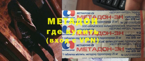 сатива Няндома