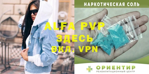 сатива Няндома