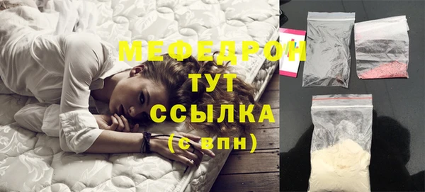 сатива Няндома